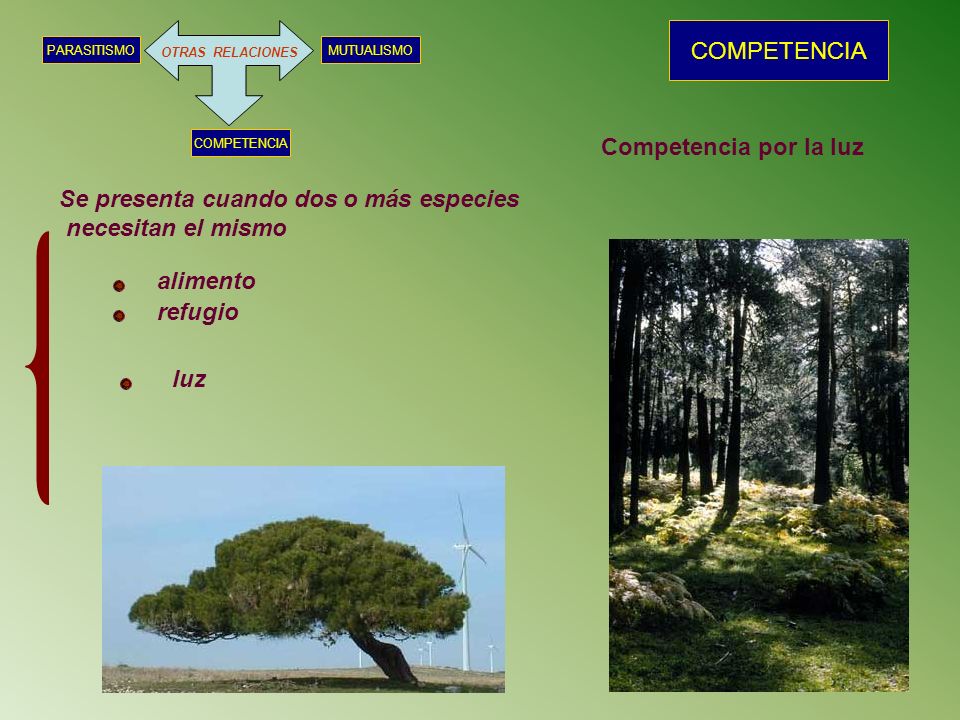 Se presenta cuando dos o más especies necesitan el mismo