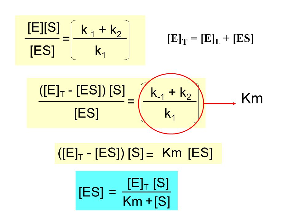 Km k-1 + k2 [ES] = [E][S] k1 k-1 + k2 [ES] = ([E]T - [ES]) [S] k1 [ES]