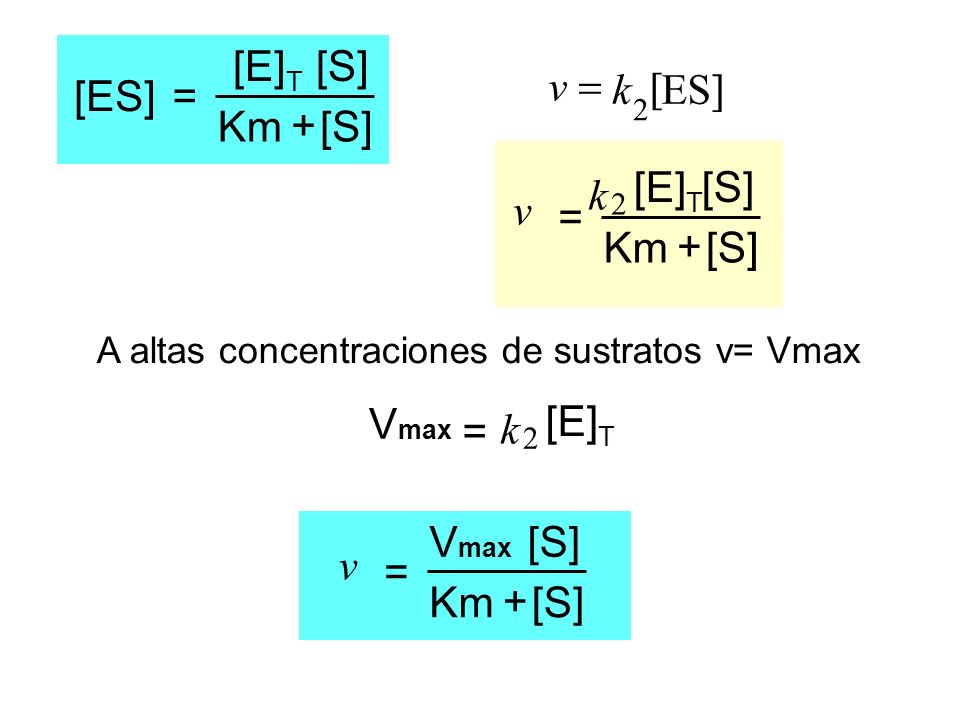 [ES] = Km [E]T [S] + [ ] ES k v = = Km [E]T [S] + v k Vmax = [E]T k =