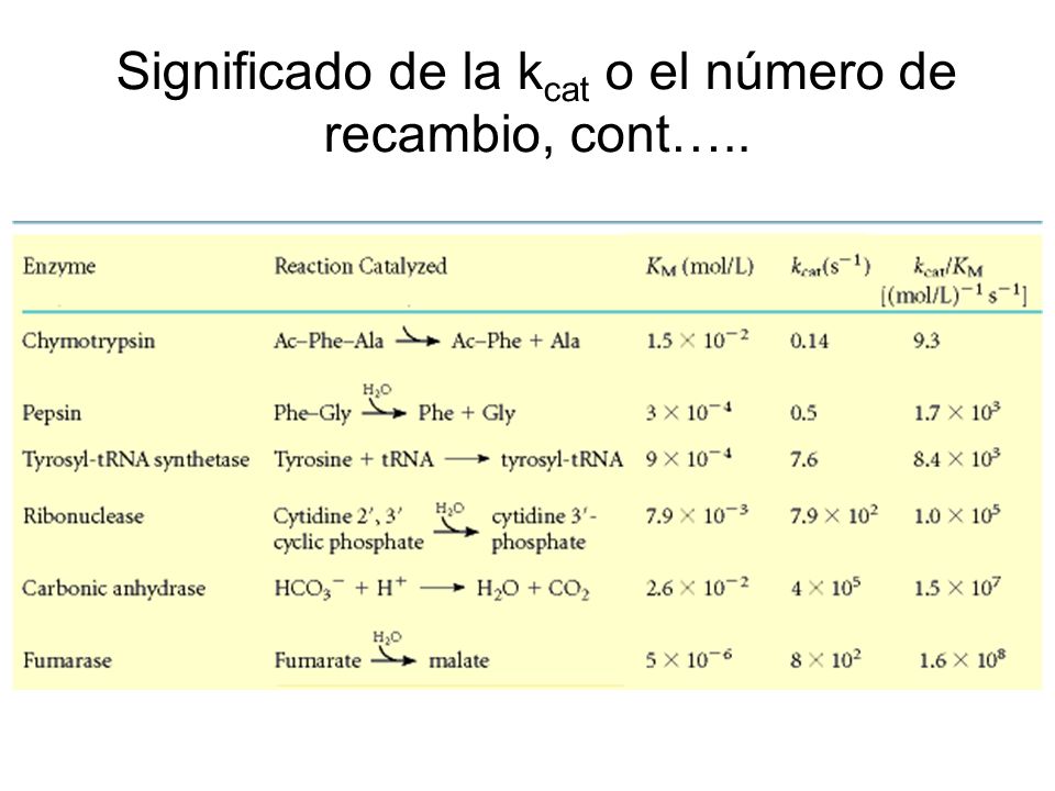 Significado de la kcat o el número de recambio, cont…..