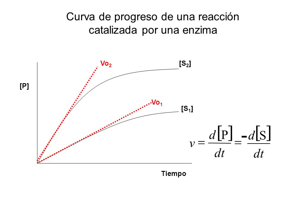 Curva de progreso de una reacción catalizada por una enzima