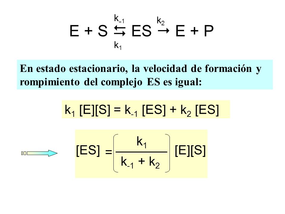 E + S  ES  E + P k1 [E][S] = k-1 [ES] + k2 [ES] k-1 + k2 [ES] =