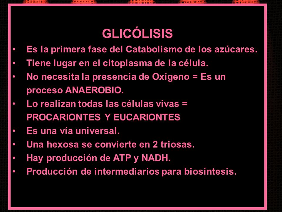 GLICÓLISIS Es la primera fase del Catabolismo de los azúcares.