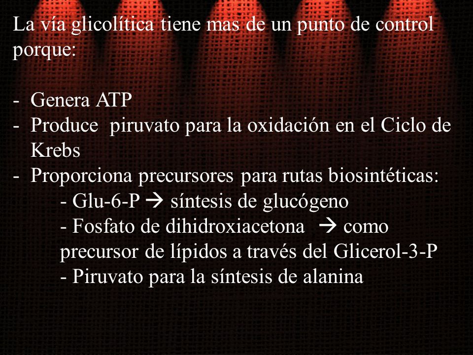 La vía glicolítica tiene mas de un punto de control porque: