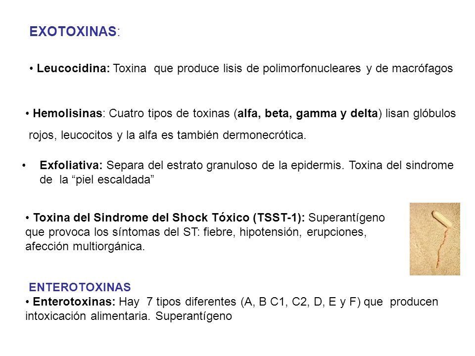 EXOTOXINAS: Leucocidina: Toxina que produce lisis de polimorfonucleares y de macrófagos.