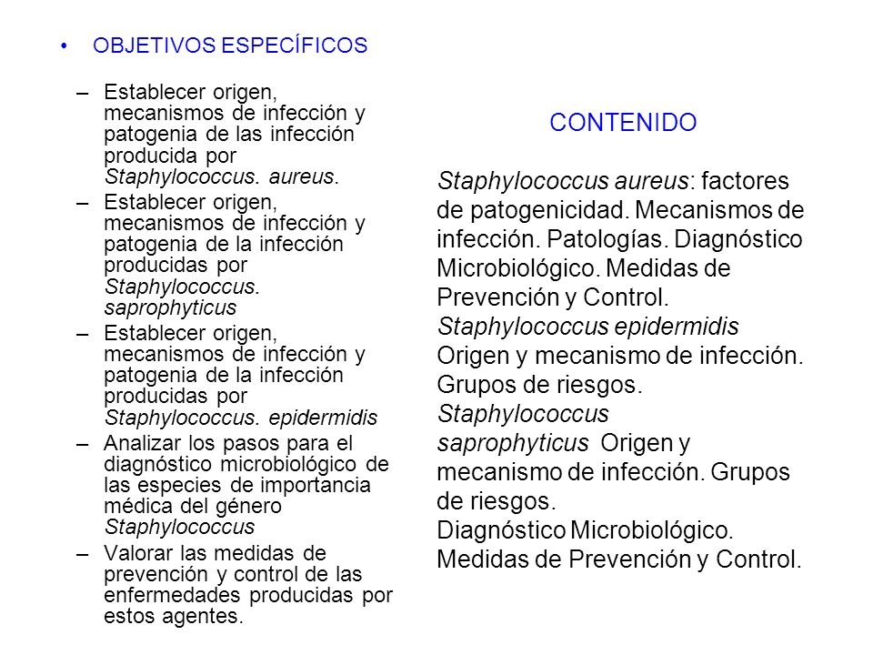OBJETIVOS ESPECÍFICOS