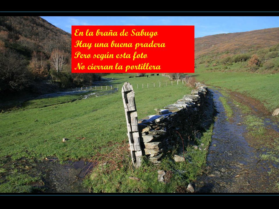 En la braña de Sabugo Hay una buena pradera Pero según esta foto No cierran la portillera