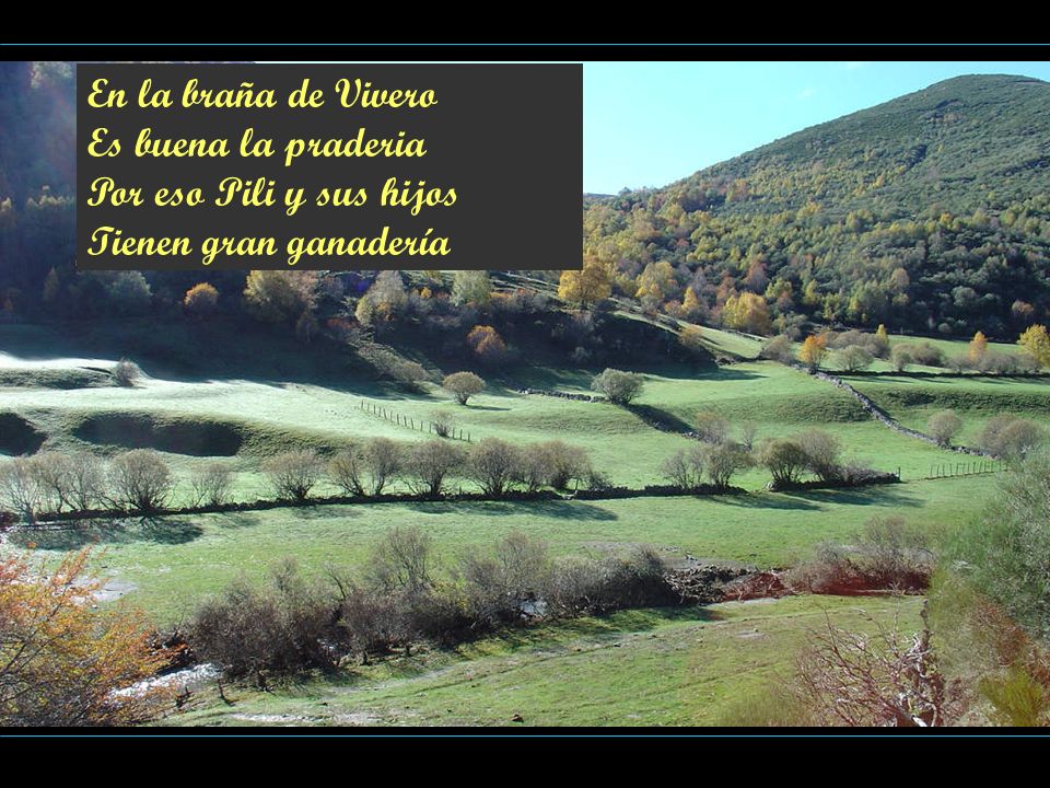 En la braña de Vivero Es buena la praderia Por eso Pili y sus hijos Tienen gran ganadería