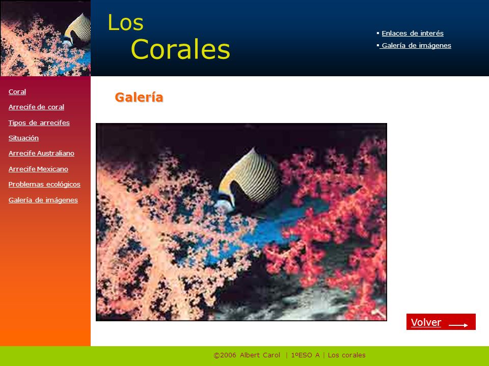 ©2006 Albert Carol | 1ºESO A | Los corales