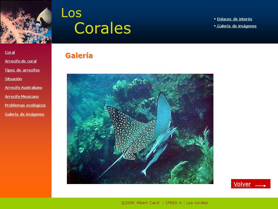 ©2006 Albert Carol | 1ºESO A | Los corales