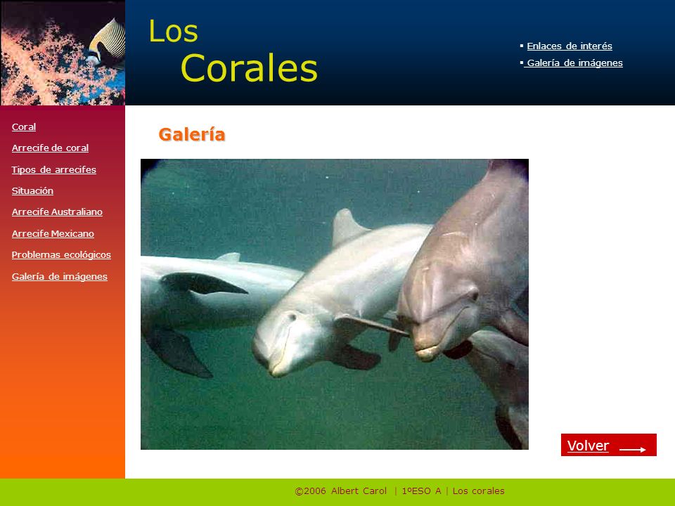 ©2006 Albert Carol | 1ºESO A | Los corales