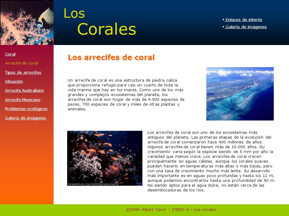 ©2006 Albert Carol | 1ºESO A | Los corales