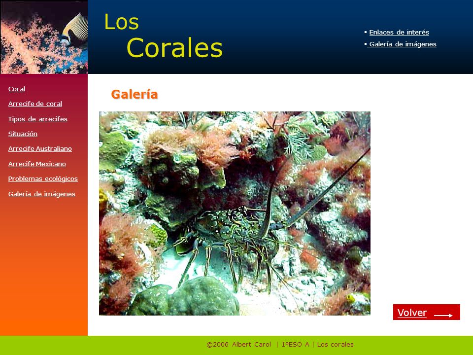 ©2006 Albert Carol | 1ºESO A | Los corales