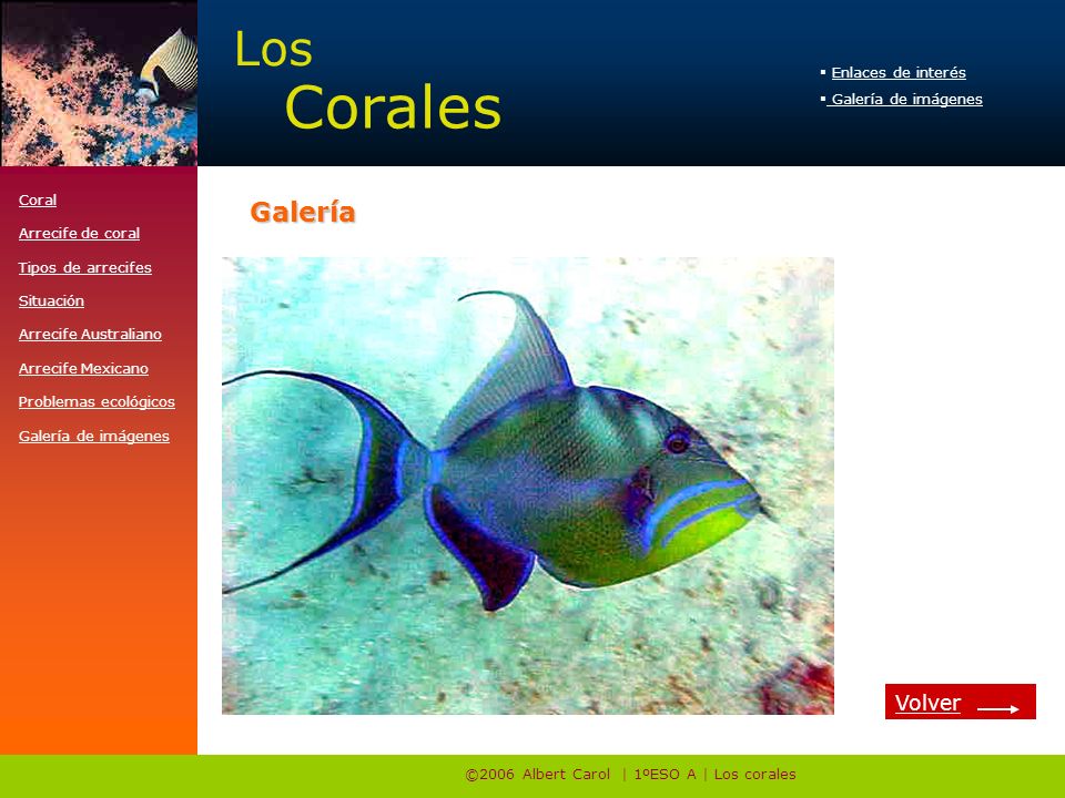 ©2006 Albert Carol | 1ºESO A | Los corales