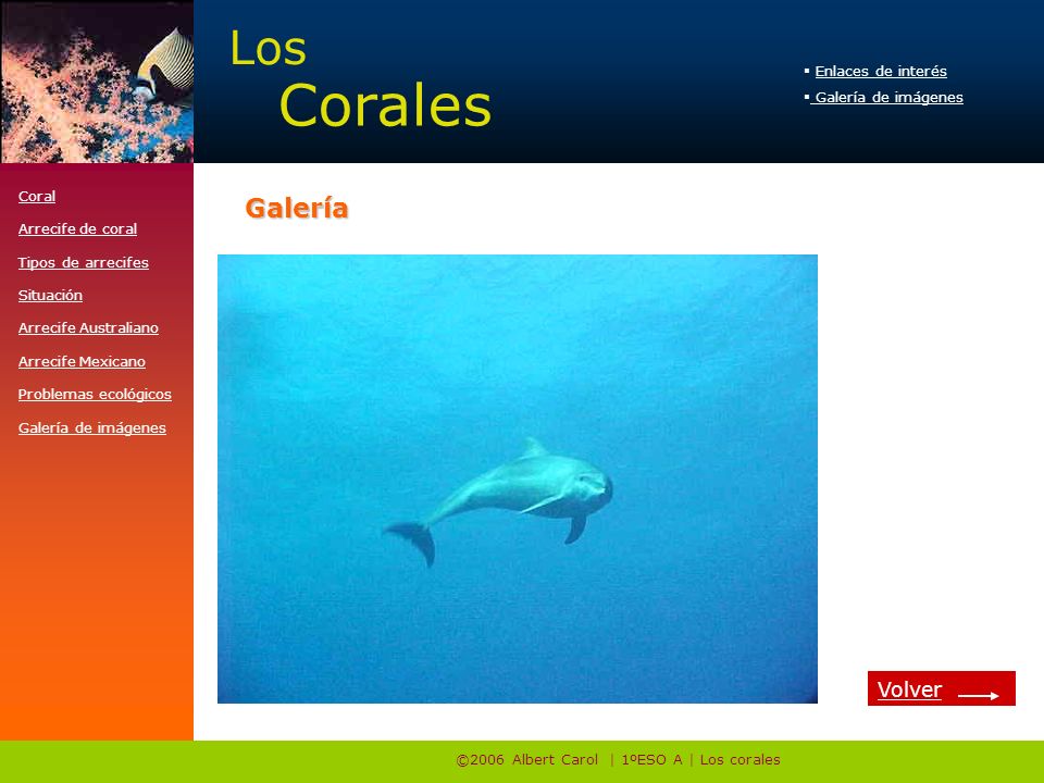 ©2006 Albert Carol | 1ºESO A | Los corales