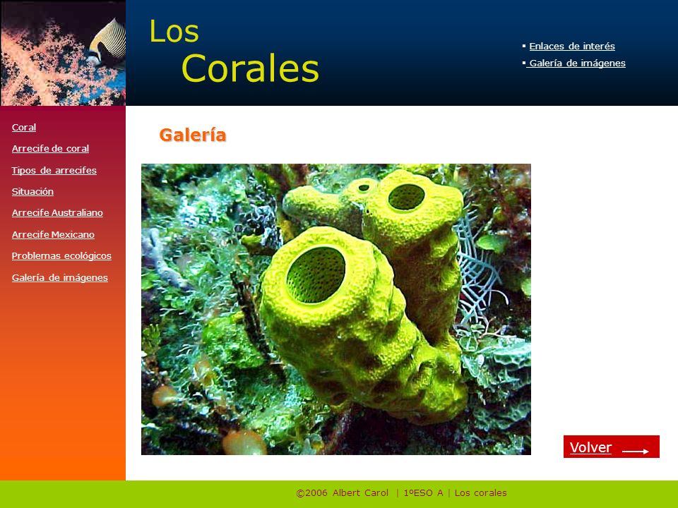 ©2006 Albert Carol | 1ºESO A | Los corales