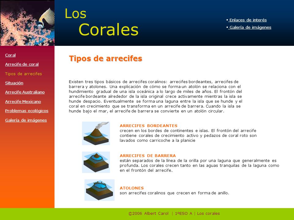 ©2006 Albert Carol | 1ºESO A | Los corales