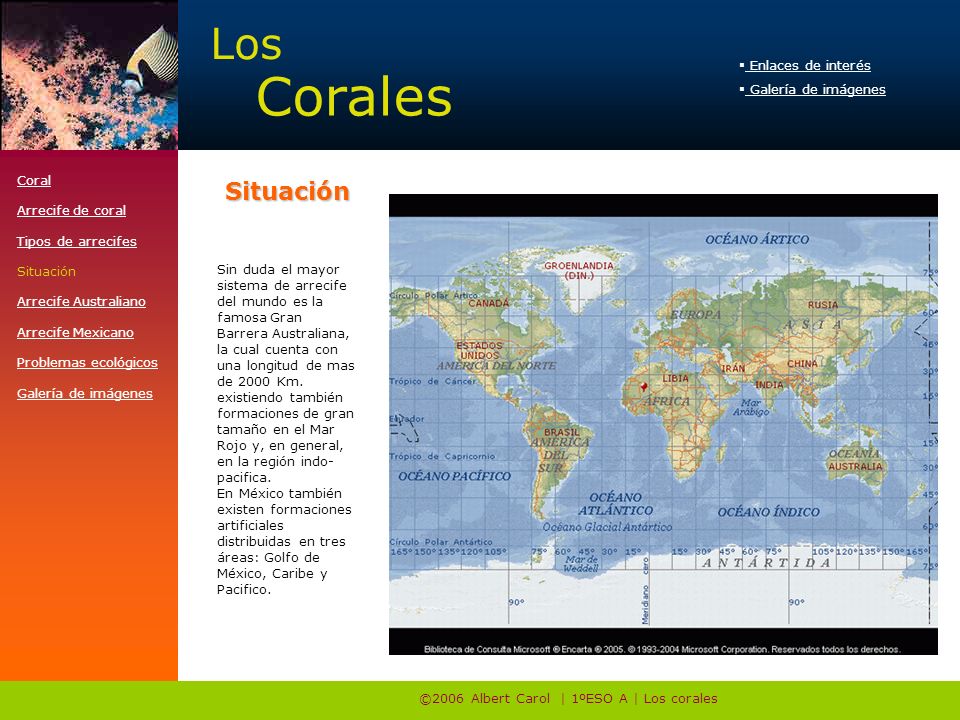 ©2006 Albert Carol | 1ºESO A | Los corales