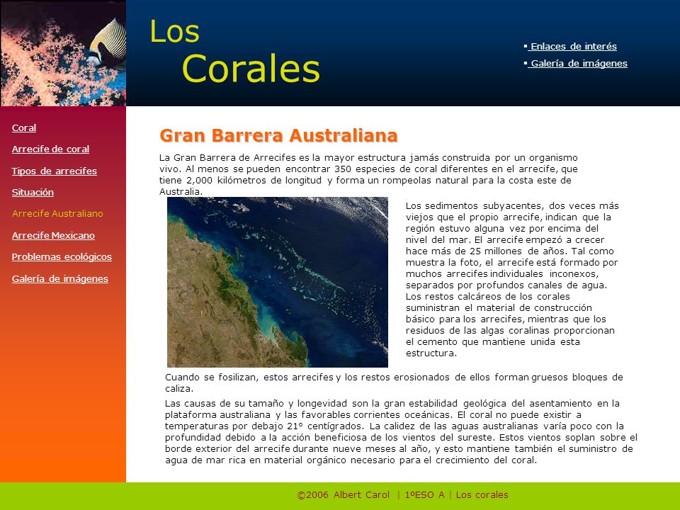 ©2006 Albert Carol | 1ºESO A | Los corales