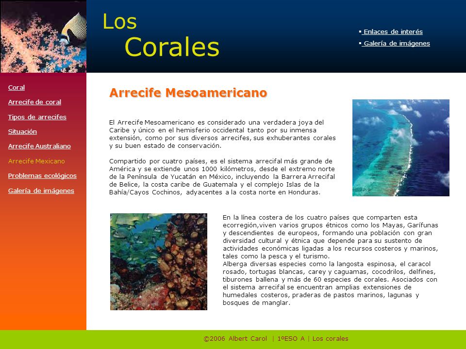 ©2006 Albert Carol | 1ºESO A | Los corales