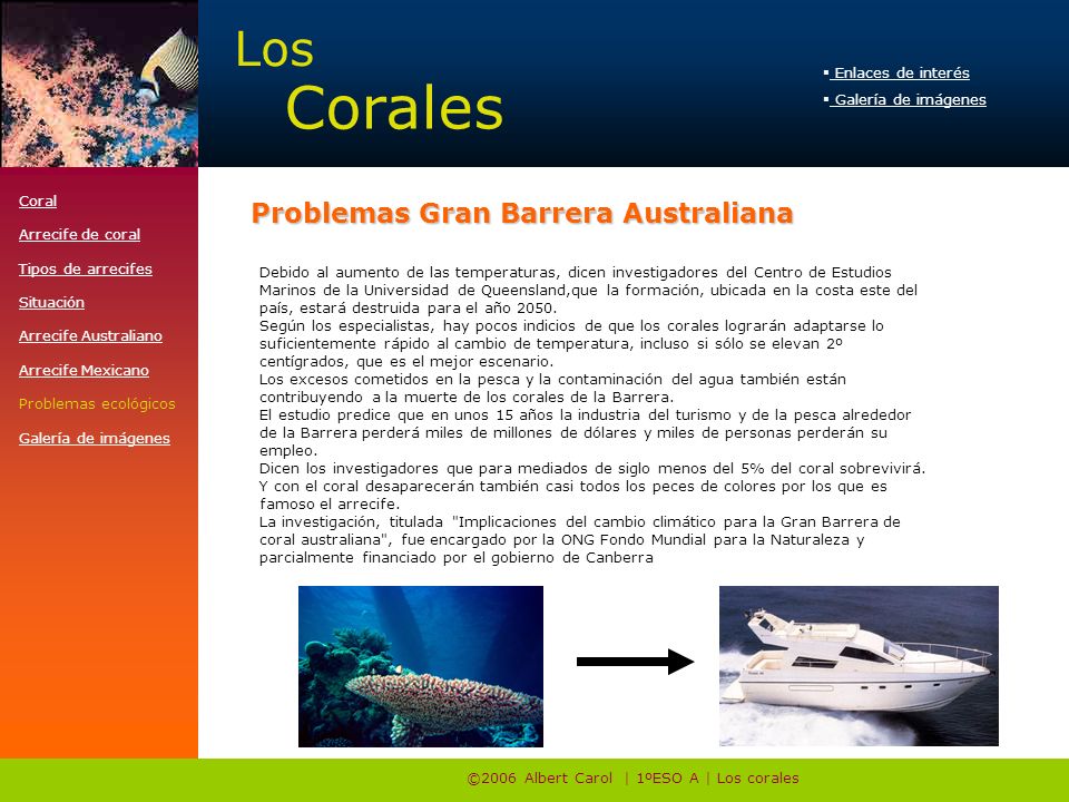 ©2006 Albert Carol | 1ºESO A | Los corales