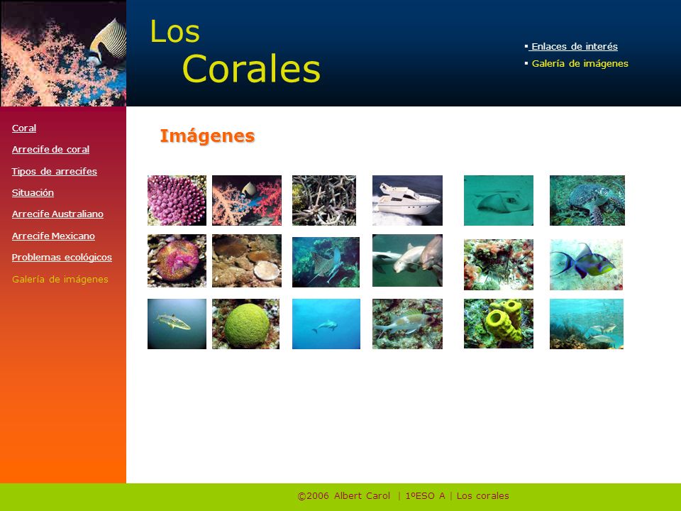 ©2006 Albert Carol | 1ºESO A | Los corales