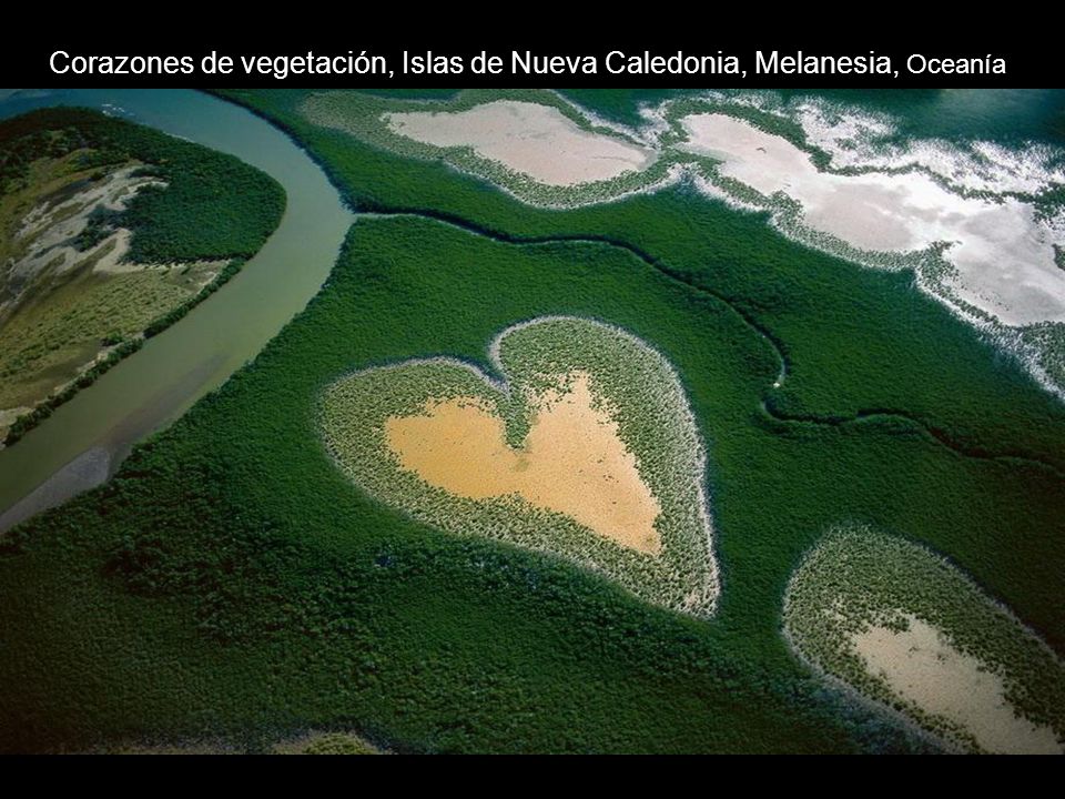 Corazones de vegetación, Islas de Nueva Caledonia, Melanesia, Oceanía