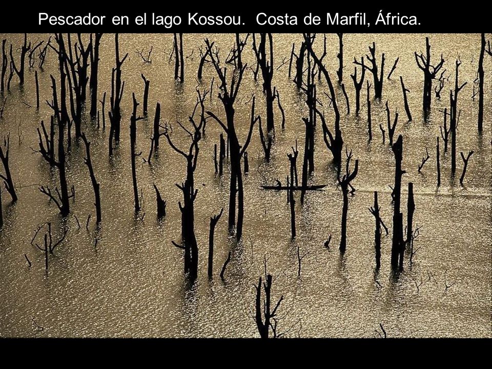 Pescador en el lago Kossou. Costa de Marfil, África.