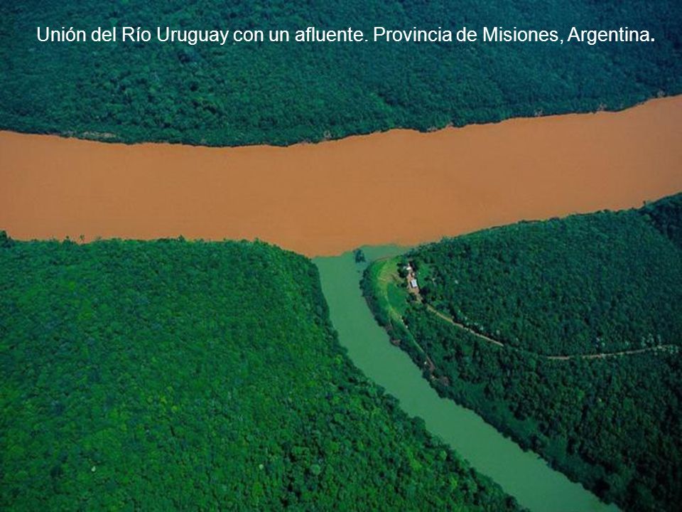 Unión del Río Uruguay con un afluente. Provincia de Misiones, Argentina.