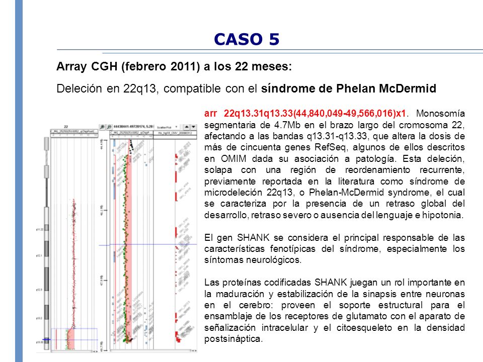 CASO 5 Array CGH (febrero 2011) a los 22 meses: