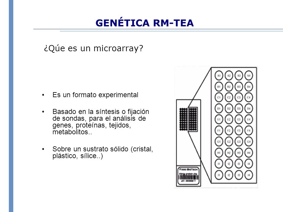 GENÉTICA RM-TEA ¿Qúe es un microarray Es un formato experimental