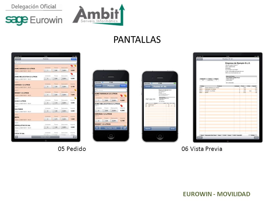 PANTALLAS 05 Pedido 06 Vista Previa EUROWIN - MOVILIDAD