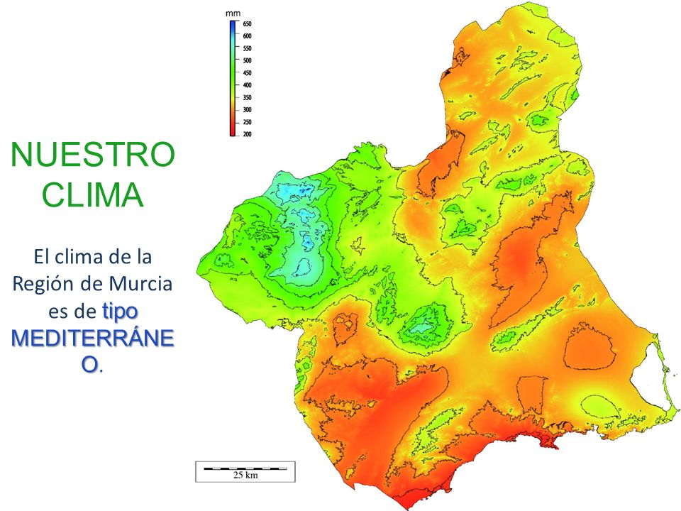 NUESTRO CLIMA El clima de la Región de Murcia es de tipo MEDITERRÁNEO.