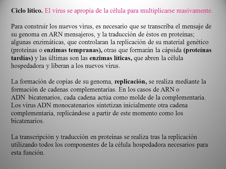 Ciclo lítico. El virus se apropia de la célula para multiplicarse masivamente.