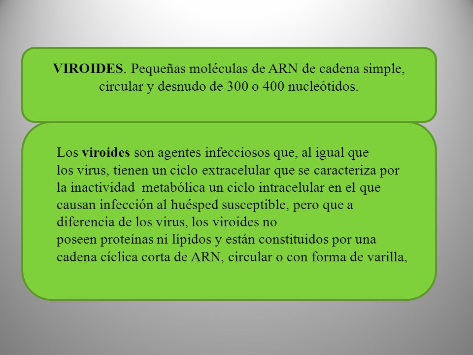VIROIDES. Pequeñas moléculas de ARN de cadena simple, circular y desnudo de 300 o 400 nucleótidos.