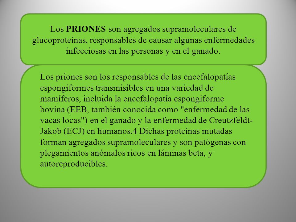 Los PRIONES son agregados supramoleculares de glucoproteínas, responsables de causar algunas enfermedades infecciosas en las personas y en el ganado.