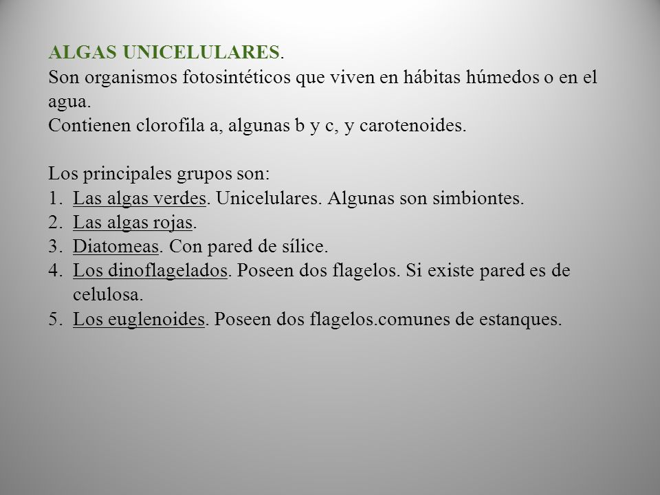 ALGAS UNICELULARES. Son organismos fotosintéticos que viven en hábitas húmedos o en el agua. Contienen clorofila a, algunas b y c, y carotenoides.