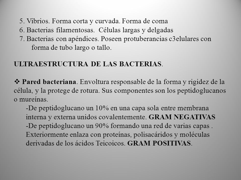 5. Vibrios. Forma corta y curvada. Forma de coma