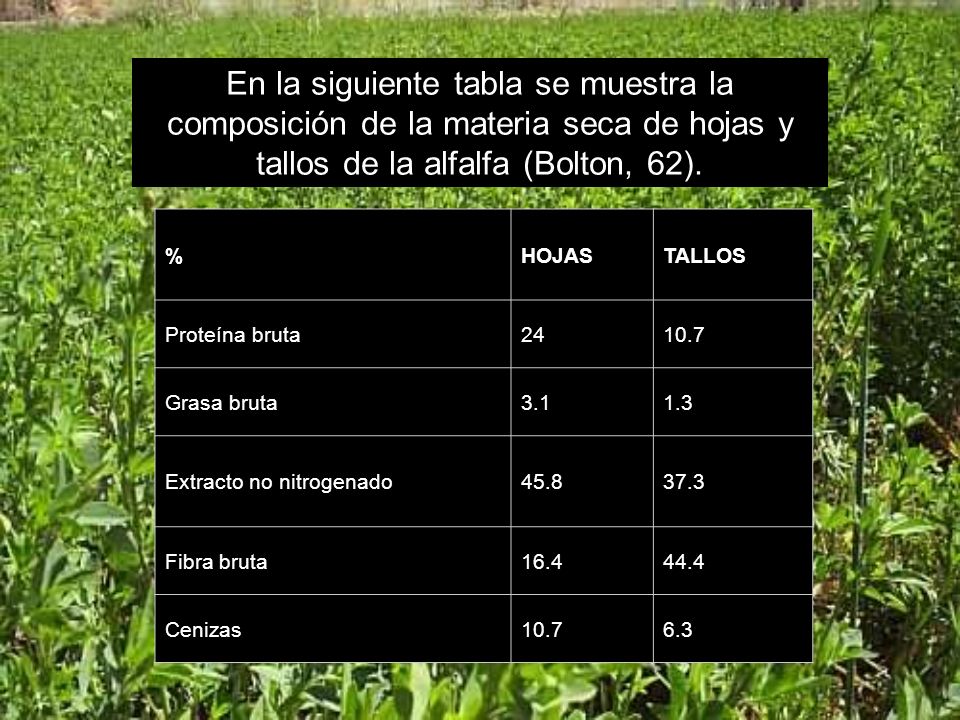 En la siguiente tabla se muestra la composición de la materia seca de hojas y tallos de la alfalfa (Bolton, 62).