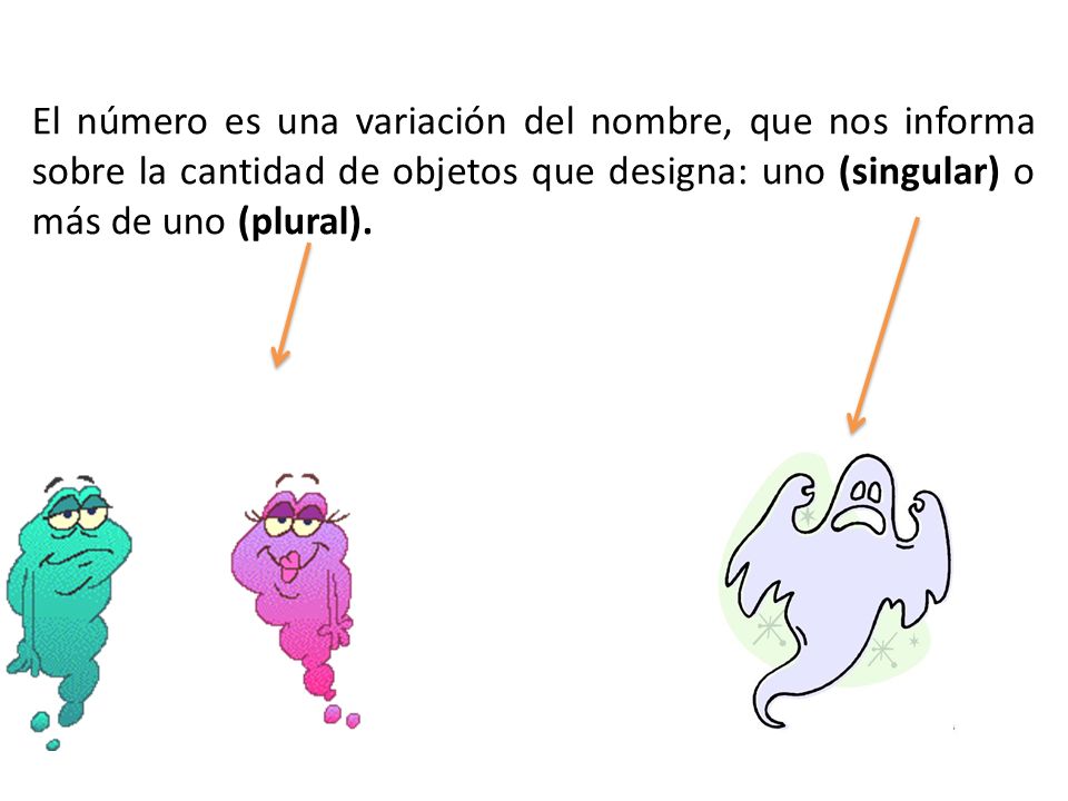 El número es una variación del nombre, que nos informa sobre la cantidad de objetos que designa: uno (singular) o más de uno (plural).