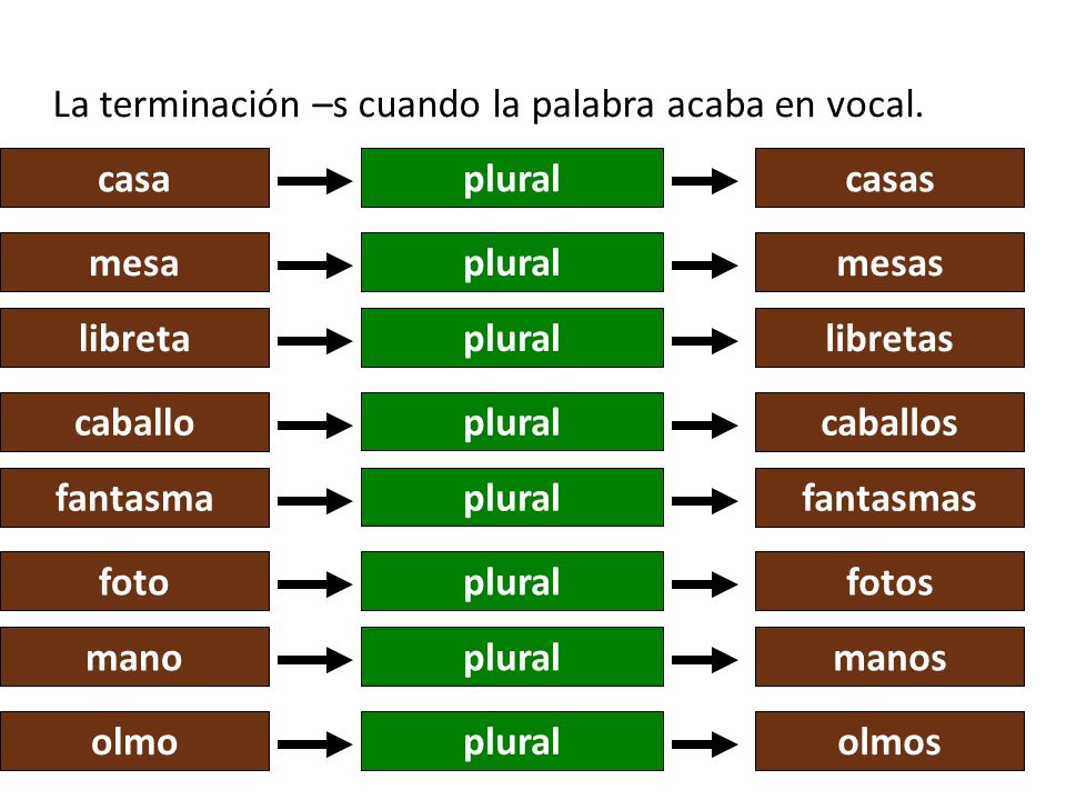 La terminación –s cuando la palabra acaba en vocal.