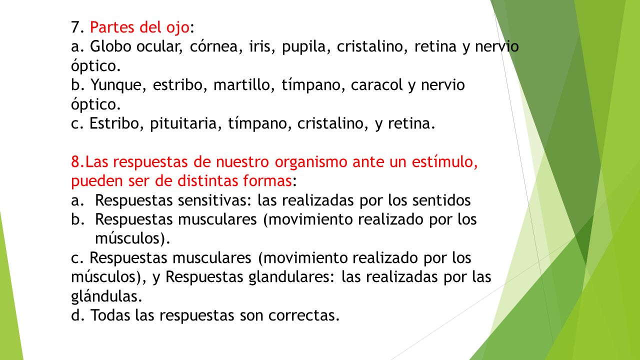 7. Partes del ojo: a. Globo ocular, córnea, iris, pupila, cristalino, retina y nervio óptico.