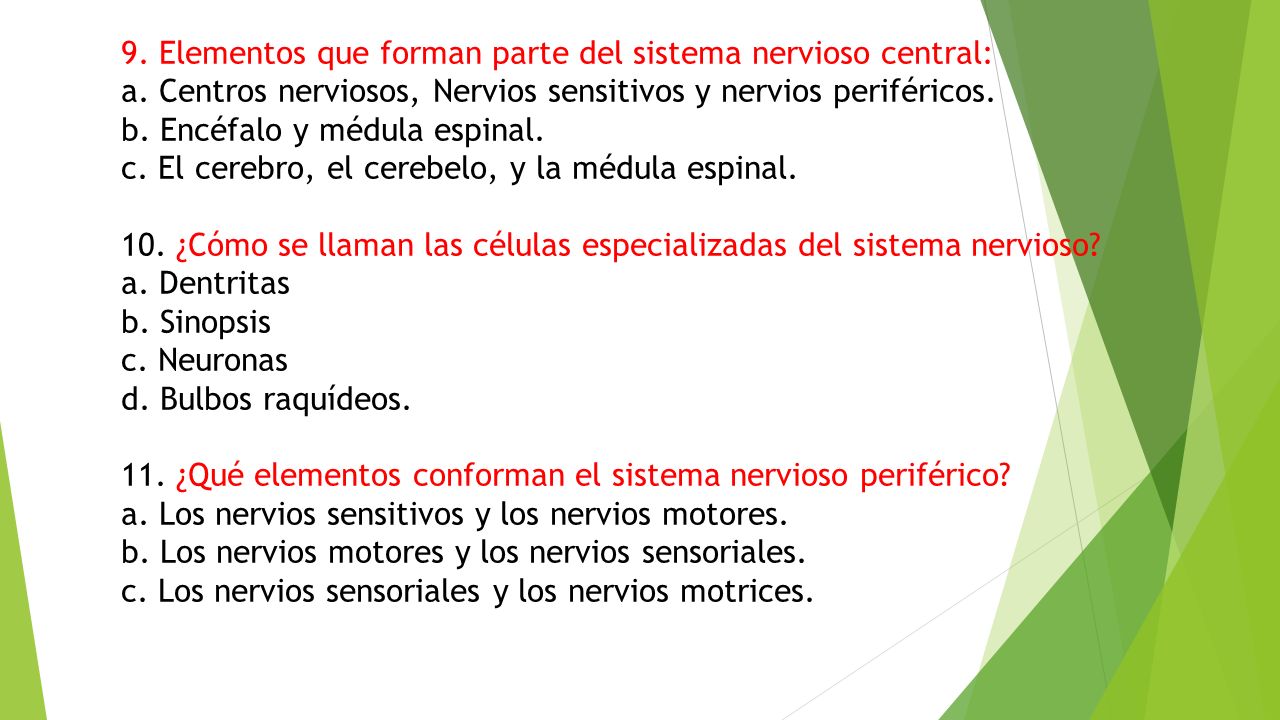 9. Elementos que forman parte del sistema nervioso central:
