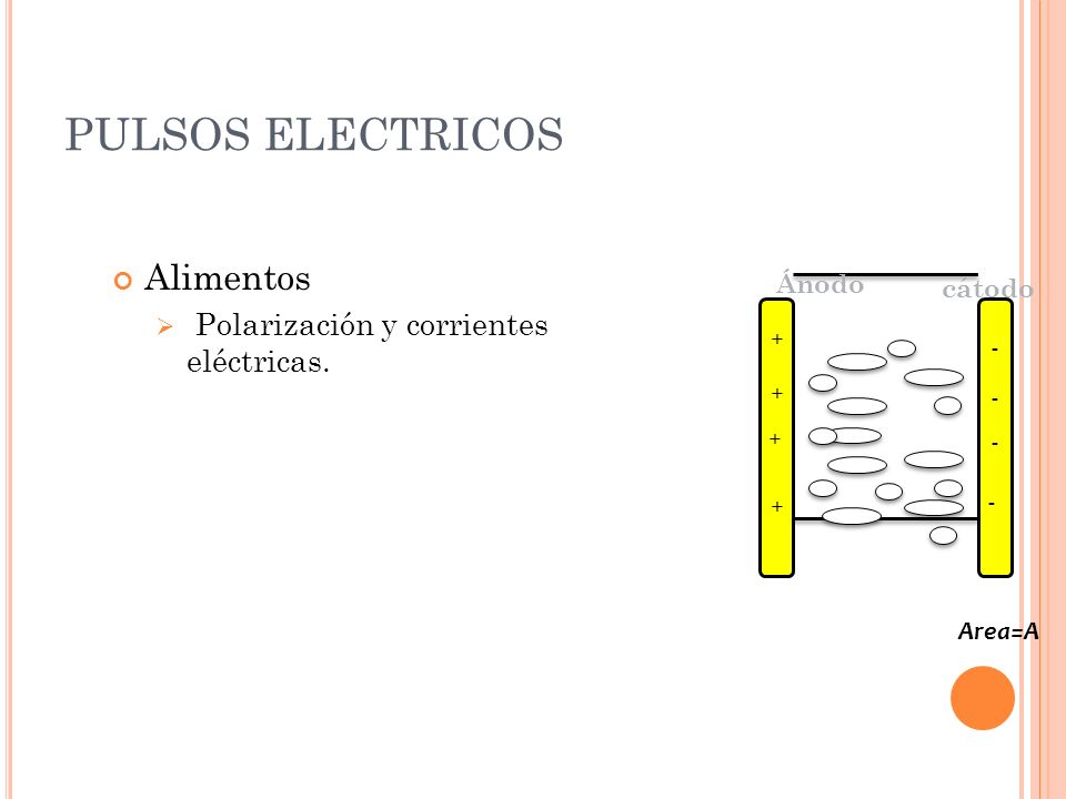 PULSOS ELECTRICOS Alimentos Polarización y corrientes eléctricas.