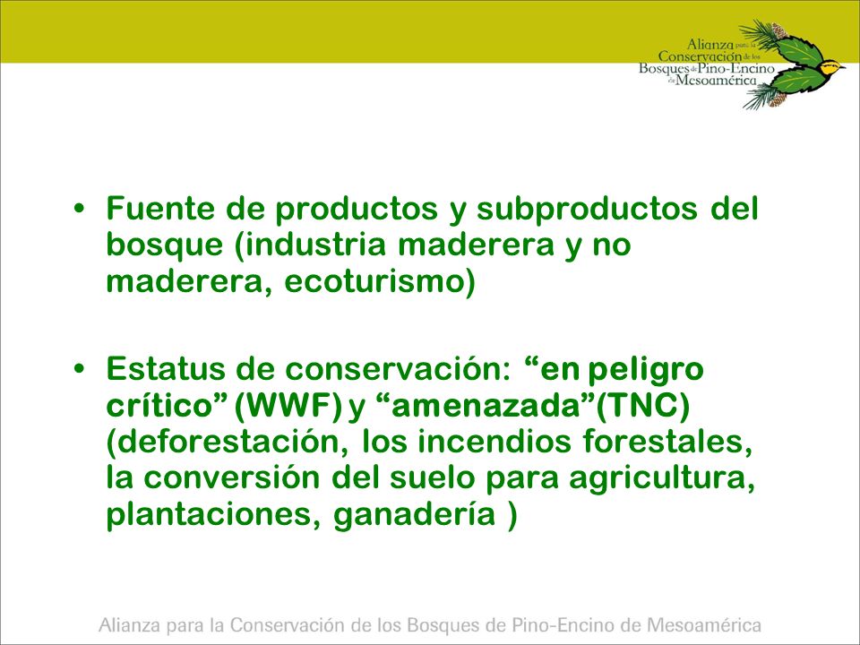 Fuente de productos y subproductos del bosque (industria maderera y no maderera, ecoturismo)