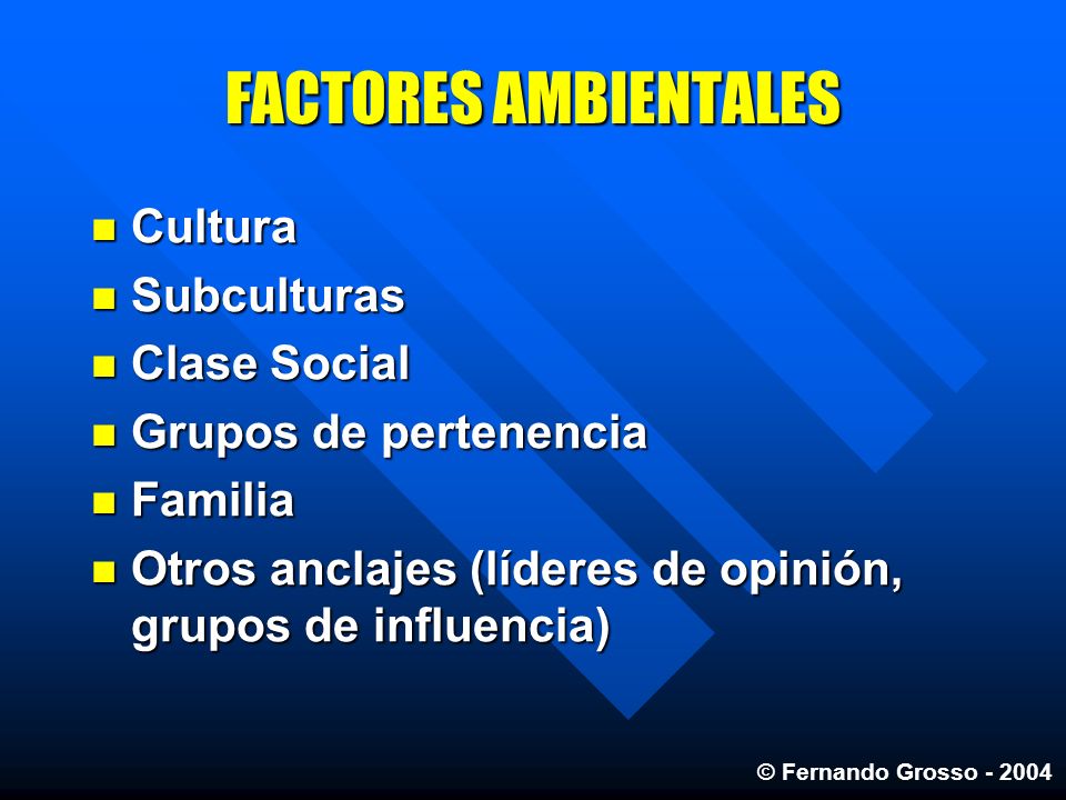FACTORES AMBIENTALES Cultura Subculturas Clase Social