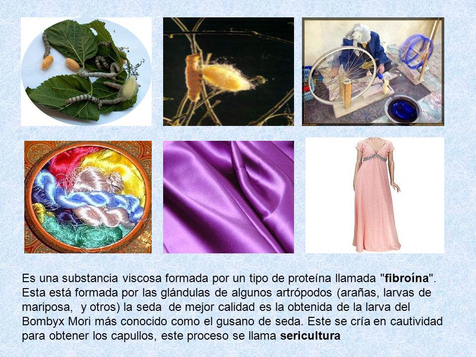 Es una substancia viscosa formada por un tipo de proteína llamada fibroína .
