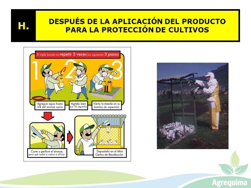 DESPUÉS DE LA APLICACIÓN DEL PRODUCTO PARA LA PROTECCIÓN DE CULTIVOS