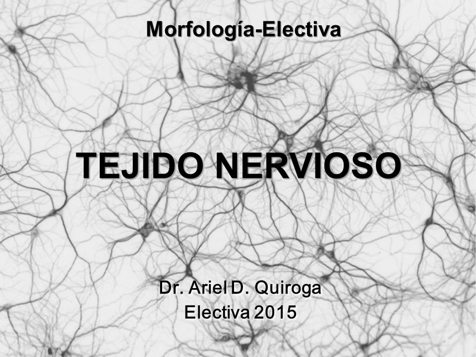 Morfología-Electiva TEJIDO NERVIOSO Dr. Ariel D. Quiroga Electiva 2015
