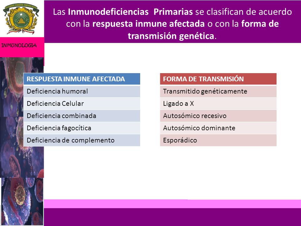 Las Inmunodeficiencias Primarias se clasifican de acuerdo con la respuesta inmune afectada o con la forma de transmisión genética.